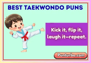 Best Taekwondo Puns