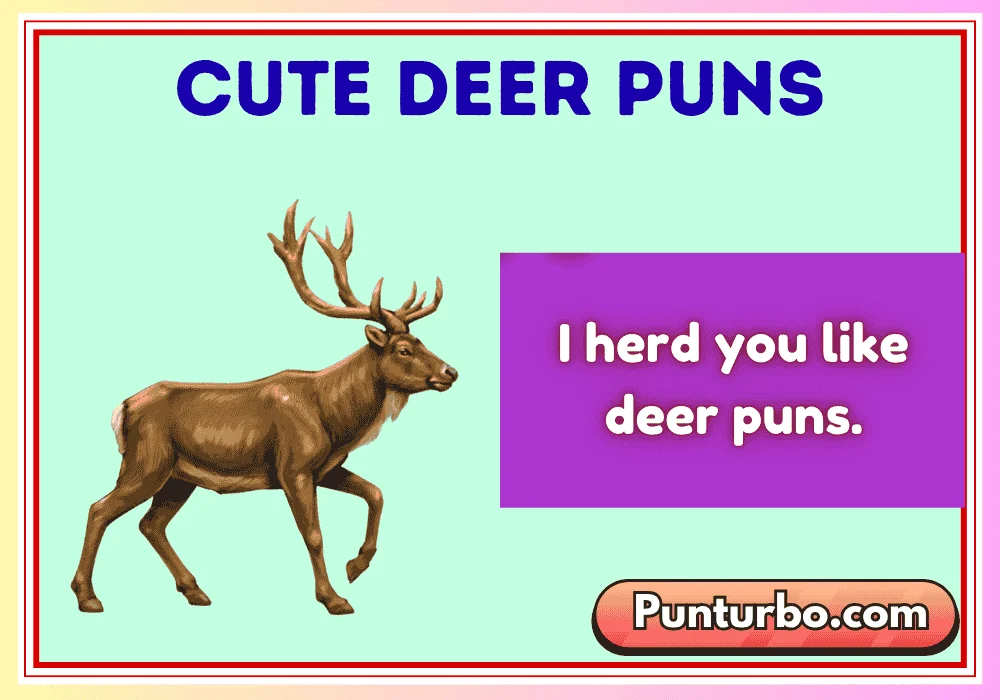 Cute Deer Puns