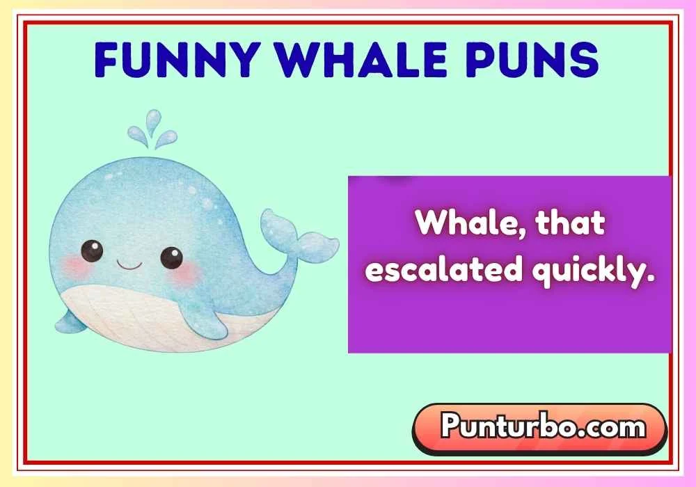 Funny Whale Puns