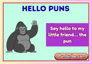Hello Puns