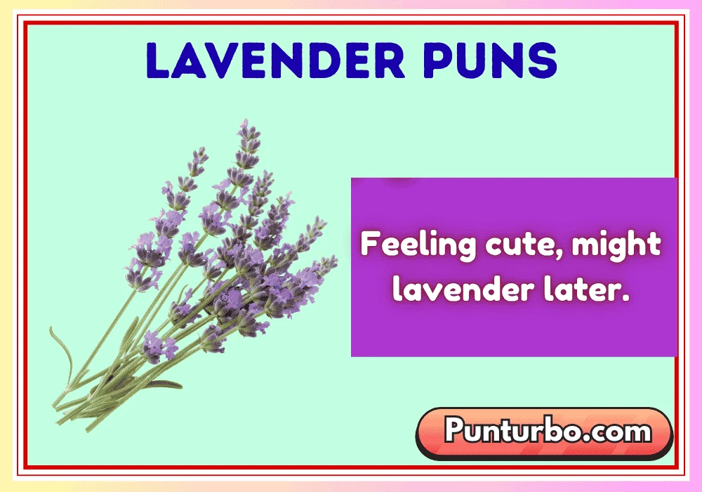 Lavender Puns