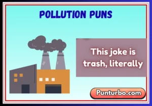 Pollution Puns