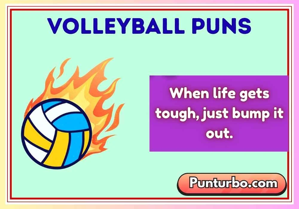 Volleyball Puns