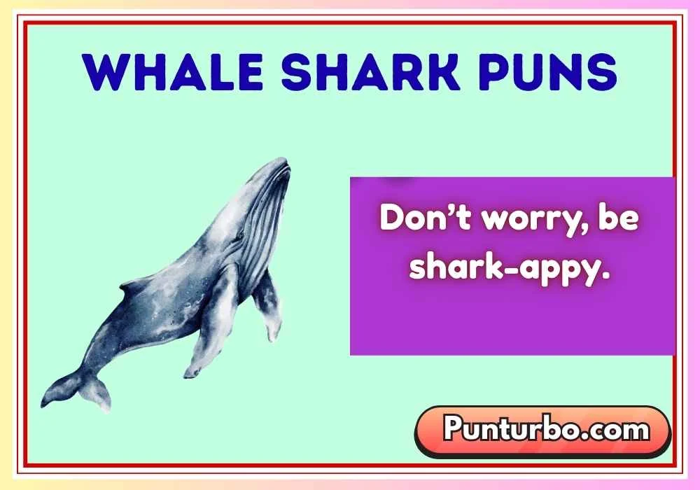 Whale Shark Puns