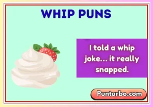 Whip Puns