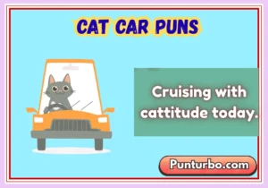 Cat Car Puns