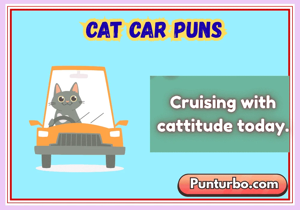 Cat Car Puns